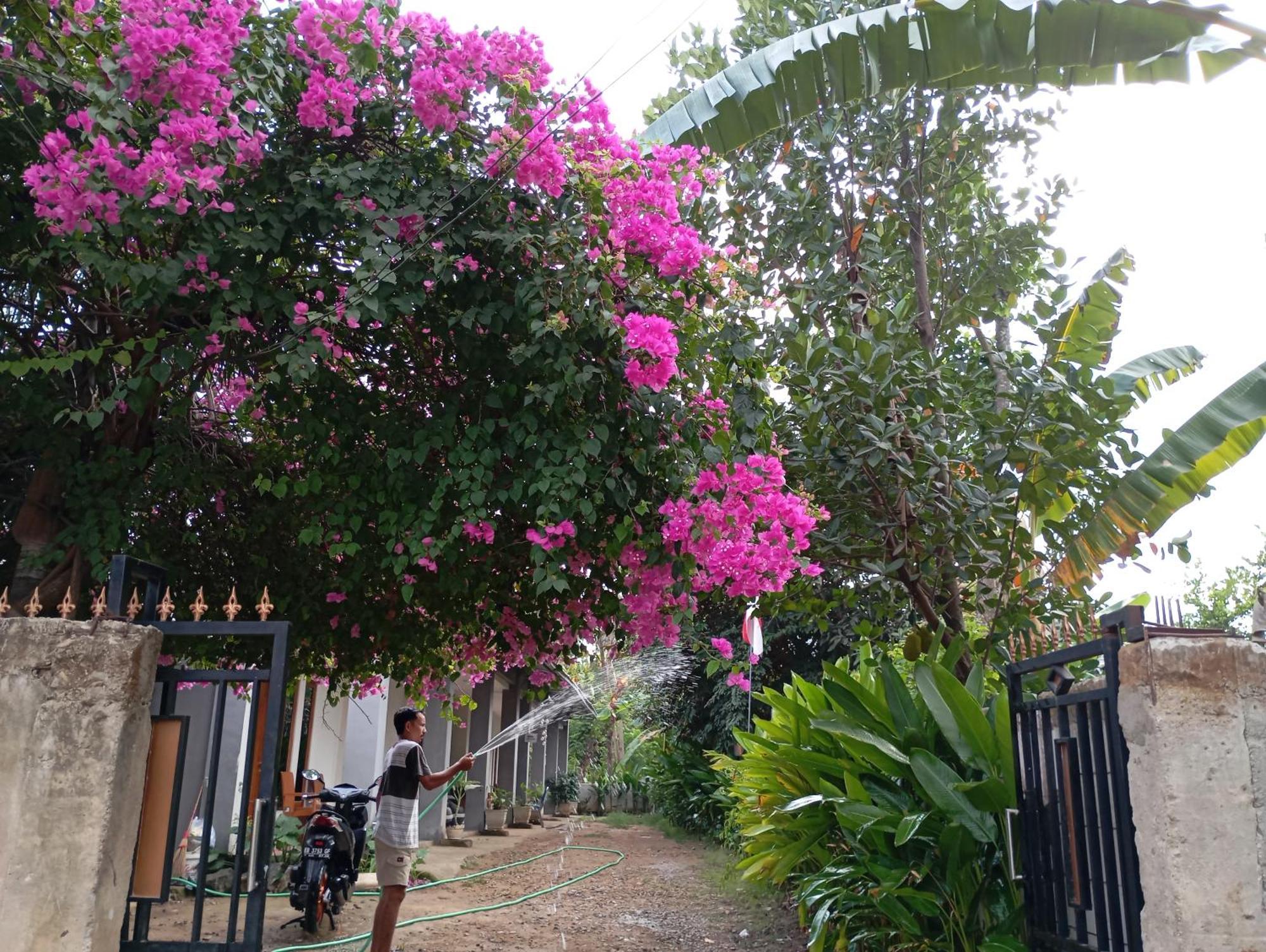 Wl Guesthouse Labuan Bajo Exterior photo